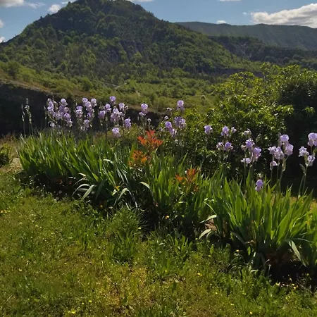Location Les Iris La Robine-Sur-Galabre