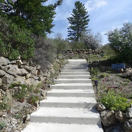 Location Les Iris Hébergement de vacances *