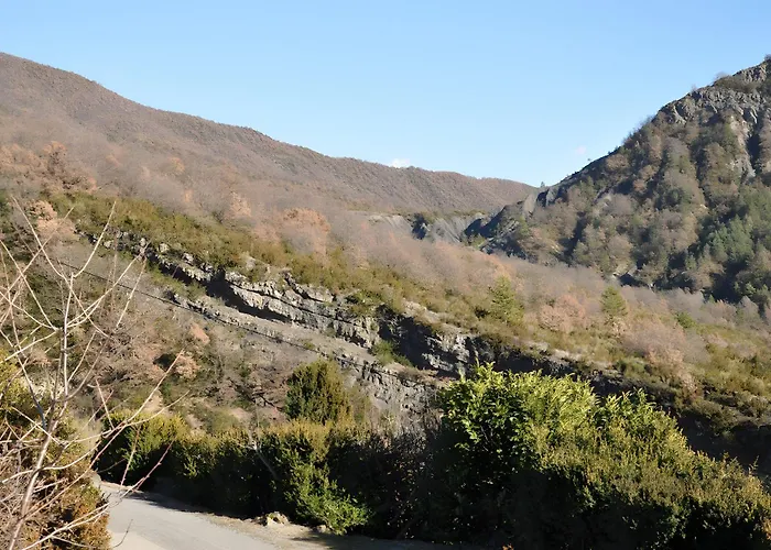 Location Les Iris La Robine-Sur-Galabre