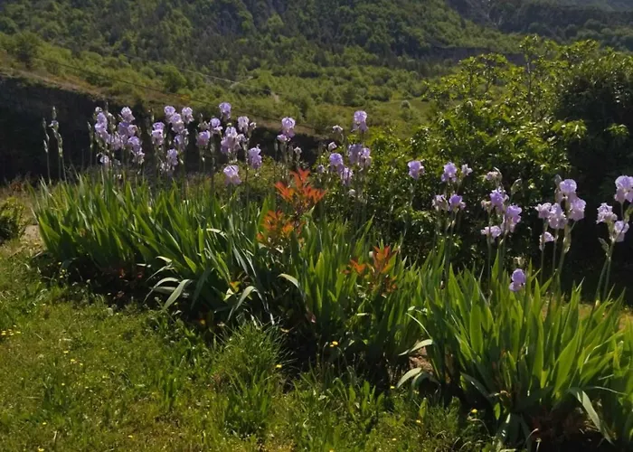 Location Les Iris La Robine-Sur-Galabre